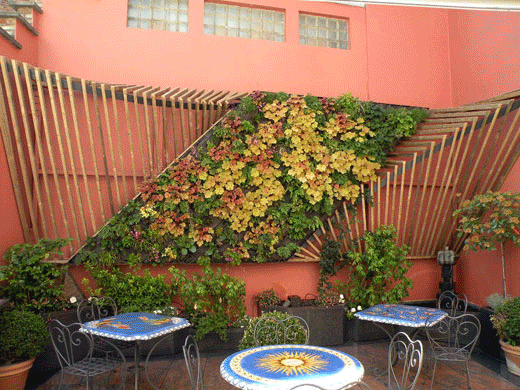 Mur-Vegetal-Jardin-vertical-Genappe-Uccle-1